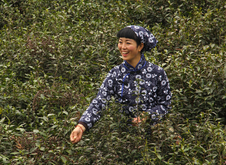 我秀直舞 雨窗私语